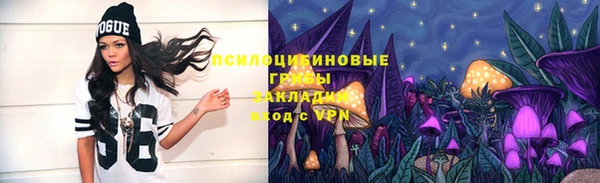 наркотики Алексин