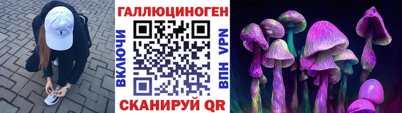 Галлюциногенные грибы Cubensis Ахтырский